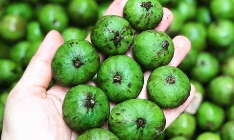 Sấu giải nhiệt cực tốt mùa hè nhưng những người này cần tuyệt đối không dùng