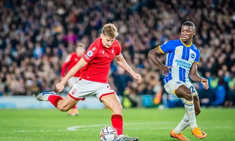 Nhận định, dự đoán Nottingham vs Brighton, 01h30 ngày 27/04/2023
