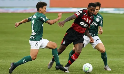 Nhận định, dự đoán Palmeiras vs Flamengo, 07h00 ngày 09/07/2023