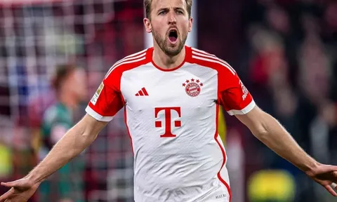 Harry Kane tái ngộ Tottenham vào mùa hè 2024