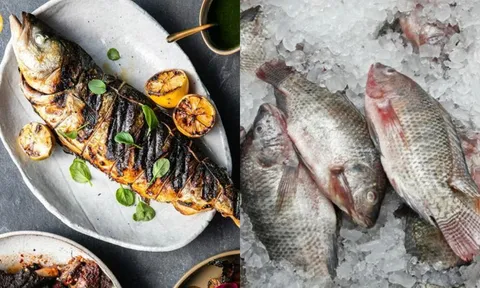 5 loại cá chớ nên mua dù rẻ như cho kẻo rước bệnh vào người không hay