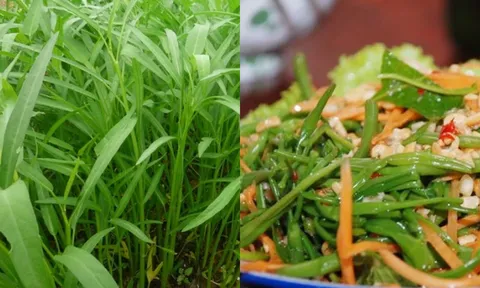 Loại rau rẻ tiền mùa hè bán đầy chợ có tác dụng tuyệt vời được ví như 'thần dược' ít ai biết