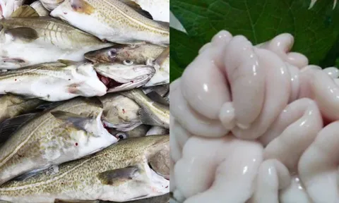 1 bộ phận cực đắt của con cá được ví như 'thần dược' nhiều người không biết thường bỏ đi