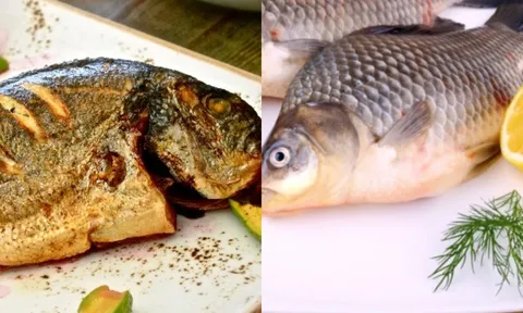 2 bộ phận của con cá 'đại bổ' nhưng có thể hóa chất độc nếu ăn sai cách