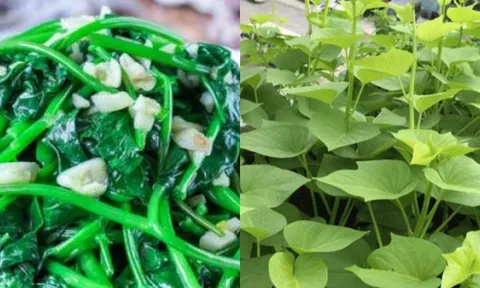 Rau lang: Loại rau rẻ tiền tốt như 'thần dược', kẻ thù của ung thư