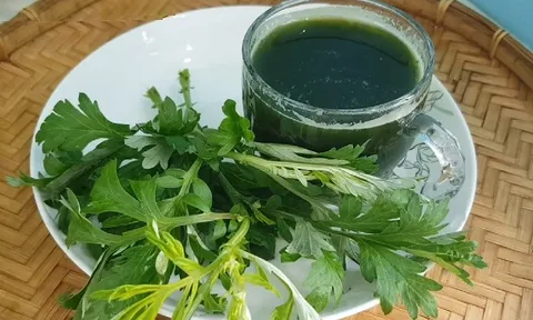 Cây ngải cứu: Vị thuốc tốt cho phái đẹp, công dụng chữa bệnh tuyệt vời