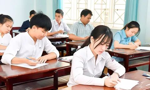 Đáp án môn Hóa học mã đề 202 kỳ thi tốt nghiệp THPT 2023