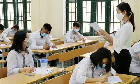 Đáp án môn Hóa học mã đề 205 kỳ thi tốt nghiệp THPT 2023