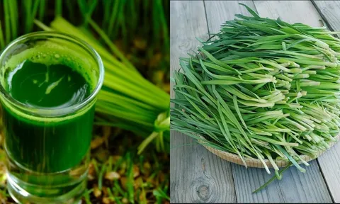 Cây hẹ: 101 tác dụng không tưởng của lá hẹ với sức khỏe