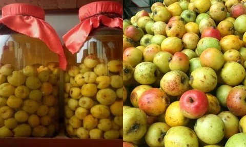 Tác dụng của quả táo mèo đối với sức khỏe: Giàu dinh dưỡng, bài thuốc trị nhiều bệnh