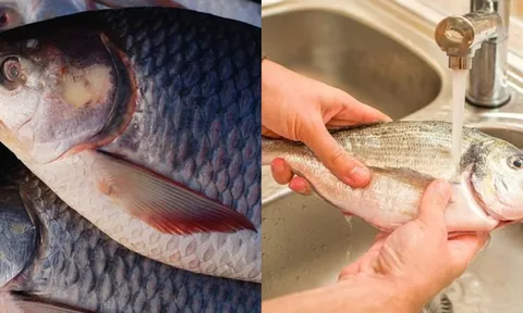 Ra chợ thấy 4 loại cá này có cho cũng không nên lấy, ăn vào thêm sinh bệnh