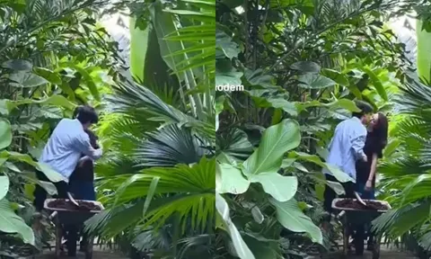 Clip Quỳnh Lương được thiếu gia Tiến Phát 'đánh dấu chủ quyền' bằng nụ hôn ngọt ngào