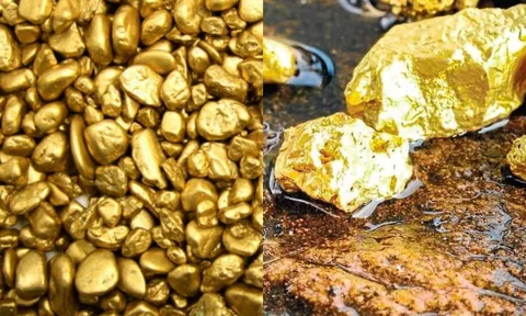 Người đàn ông bỗng đổi đời nhờ nhặt được kho báu, hé lộ nơi có nhiều vàng trên Trái Đất