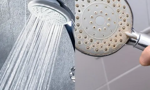 Thứ bẩn nhất trong nhà tắm ai cũng dùng nhưng không biết để vệ sinh