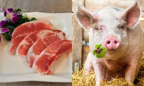 Bộ phận đại bổ của con lợn, tốt hơn 'thuốc tiên' nhưng nhiều người lại không biết để mua