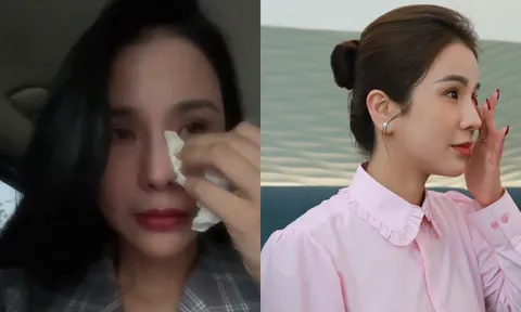 Hành trình đầy nước mắt của Diệp Lâm Anh trong 'cuộc chiến' với chồng thiếu gia