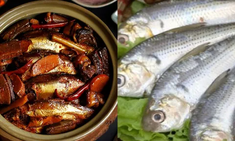 Loại cá nhà nghèo cho không ai ăn lại không ngờ bổ chẳng kém nhân sâm tổ yến