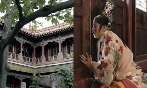 Nỗi sợ lớn nhất của các phi tần khi bị đầy vào lãnh cung, hậu thế cũng không tránh được