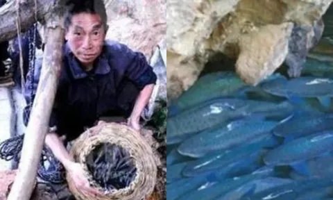 Bí ẩn về hang động mỗi dịp Tết Thanh minh phun ra 'lộc trời' vô cùng quý giá khiến ai nấy sửng sốt