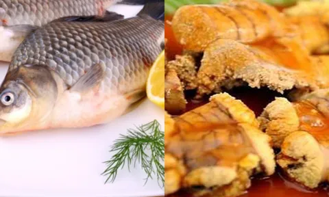1 bộ phận không mấy người thích ăn ở con cá nhưng bổ ngang nhân sâm tổ yến