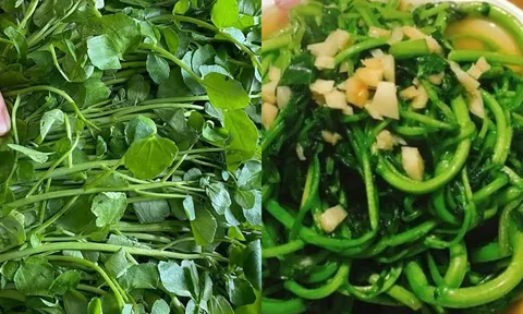 Loại rau mùa đông bán đầy chợ giá vài nghìn đồng tốt như 'tiên dược' 