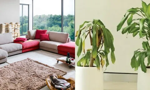 Trong nhà xuất hiện 5 dấu hiệu này cảnh báo điềm xấu sắp ập đến gia chủ