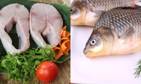 3 bộ phận của con cá chớ nên ăn, cái thứ 2 nhiều người rất thích nhưng không hề tốt