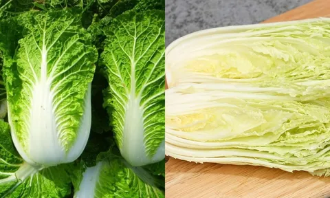 Người bán rau lâu năm nhắc nhỏ: Chớ nên mua cải thảo khi có 3 dấu hiệu này