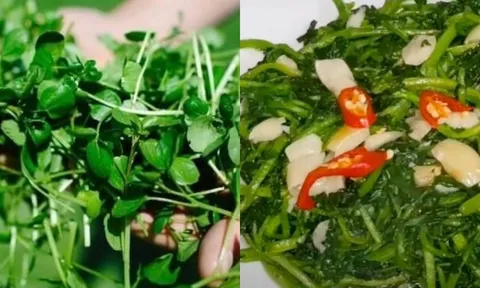Loại rau vào mùa đông bán ngoài chợ vài nghìn đồng được CDC Mỹ công nhận là thực phẩm lành mạnh nhất thế giới
