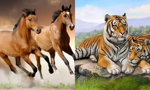 2 ngày tới, 3 con giáp này 'trúng số', tiền đẻ ra tiền, tiêu mãi không hết