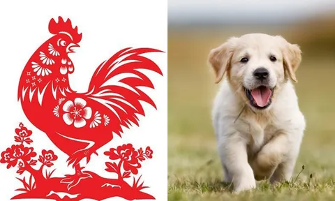 1 tháng tới, 3 con giáp phất lên như diều gặp gió, tiền chất như núi, tình duyên viên mãn