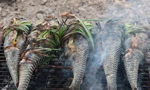 Loại cá cực bẩn, cực độc ra chợ thấy rẻ đến mấy cũng đừng ham mua kẻo hại thân