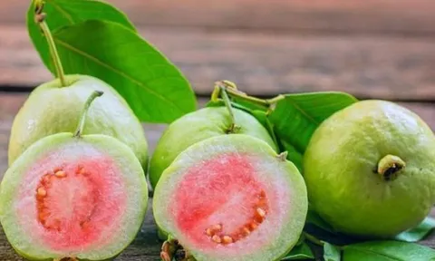 Ổi rất tốt nhưng ăn theo cách này sẽ rước họa vào thân, hãy xem bạn đã ăn đúng cách chưa?