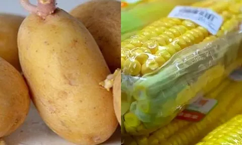 Ra chợ thấy 3 loại rau củ này có cho không cũng đừng lấy vì chứa chất gây hại cho sức khỏe