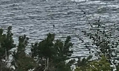 Liên tiếp trong vòng 1 tuần, quái vật hồ Loch Ness bị người thứ hai 'bắt tại trận' đang tung hoành