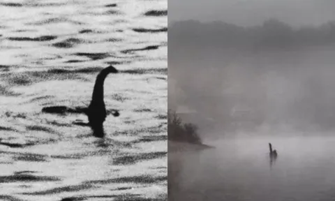 Quái vật hồ Loch Ness: Các nhà khoa học cuối cùng cũng tiết lộ danh tính thực sự của sinh vật huyền thoại 