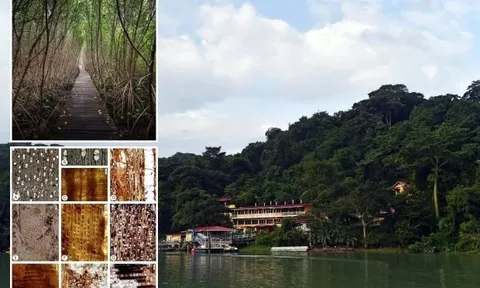 Tìm thấy thế giới bí ẩn bị xóa sổ bởi vụ phun trào núi lửa tận thế 22 triệu năm trước