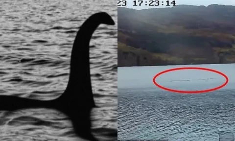 Hình ảnh rõ như ban ngày về quái vật hồ Loch Ness mà người người đang ráo riết truy tìm 