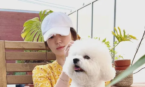 Song Hye Kyo dậy sóng với bộ ảnh khoe nhan sắc đời thường