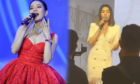 Video: Lệ Quyên hát live như 'nuốt đĩa' tại đám cưới, diện mạo gây chú ý