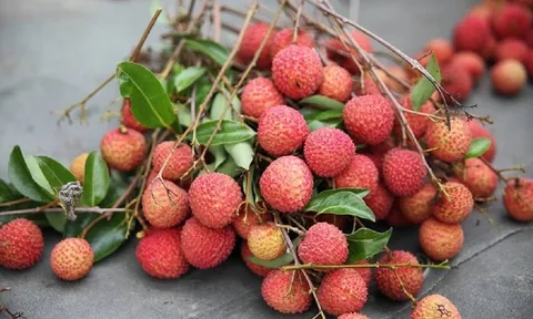 Nắm vững 4 bí quyết sau đây để thoải mái ăn vải không lo bị nóng