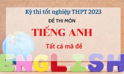 Đề thi môn Tiếng Anh tất cả 24 mã đề kỳ thi Tốt nghiệp THPT 2023