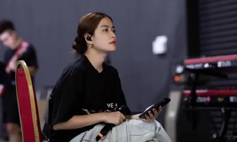 Hoàng Thùy Linh phản ứng khi Vietnamese Concert nhận phải lời chê bai