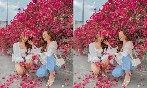Muốn hoa giấy ra hoa rực rỡ quanh năm chỉ cần tưới 1 thứ gia vị rẻ tiền trong bếp