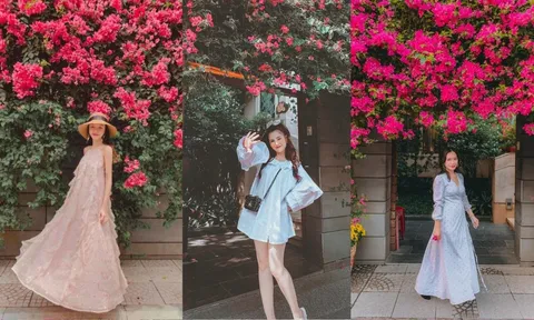 Con đường hoa giấy đẹp nhất Sài Gòn đang trong mùa nở rộ khiến ai cũng muốn dừng lại chụp hình