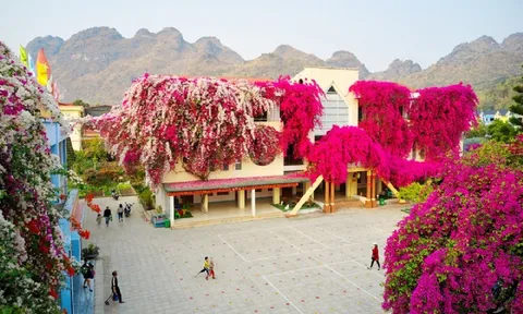 Ngôi trường mầm non phủ hồng màu hoa giấy rực rõ như trong cổ tích ở Sơn La khiến dân mạng phát sốt