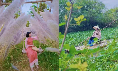 Tiktoker Minh Minh: 'Trở thành Idol mang đến thu nhập thay đổi cuộc sống của gia đình tôi tốt hơn'