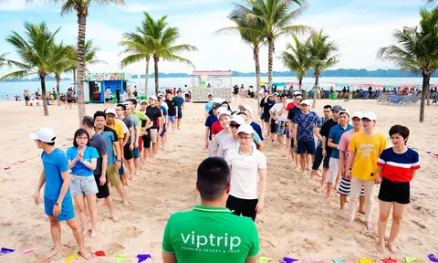 Xu hướng tổ chức du lịch team building hè 2023