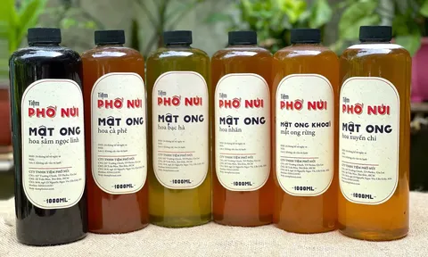 Mật ong hoa cà phê chất lượng cao từ Tiệm Phố Núi - Sự tươi mới và hương vị tuyệt vời