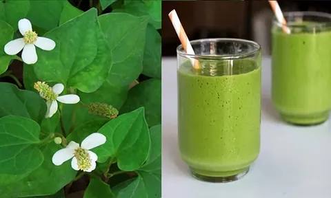 Loại rau mọc nhanh hơn cỏ dại vào mùa hè nhưng được xem là thần dược giải nhiệt, sang Nhật được coi trọng